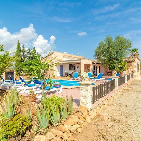 Villa César Campos  Extérieur photo